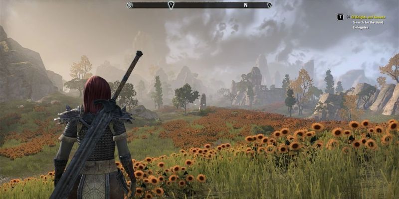 Ein Spieler, der in der High Isle-Erweiterung für The Elder Scrolls Online durch ein Sonnenblumenfeld geht