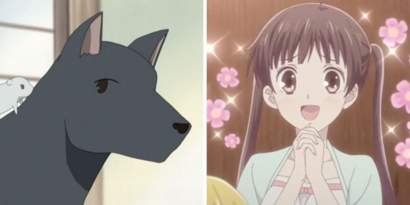 Las imágenes muestran a Tohru Honda, Yuki Sohma en su forma de rata y Shigure Sohma en su forma de perro de Fruits Basket