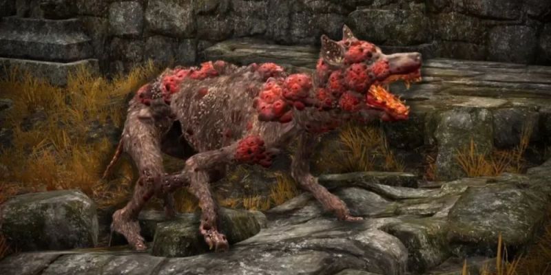 Der Bugged Bleed verursacht Rotten Dog Elden Ring mit hohem Schaden